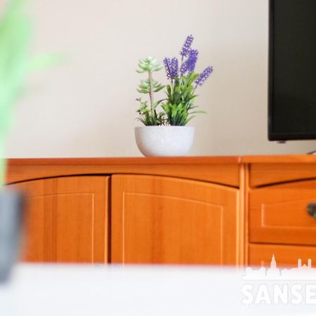 Apartamento Colon By Sanse Holidays San Sebastián Dış mekan fotoğraf