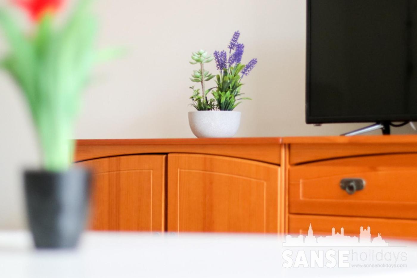 Apartamento Colon By Sanse Holidays San Sebastián Dış mekan fotoğraf